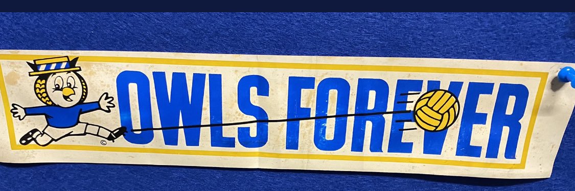 JillOvO🦉💙 banner