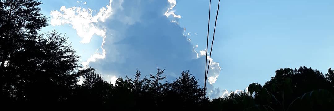 Tomfeischman344's profile banner image