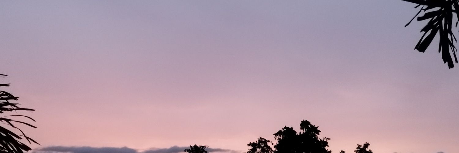 proYVEStinator's profile banner image