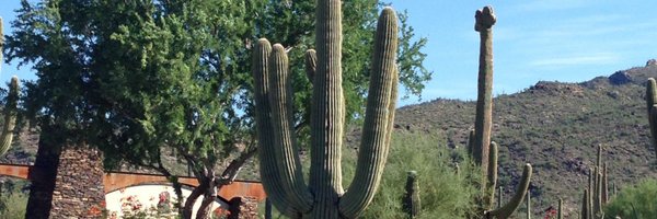 Good2_BKing Profile Banner