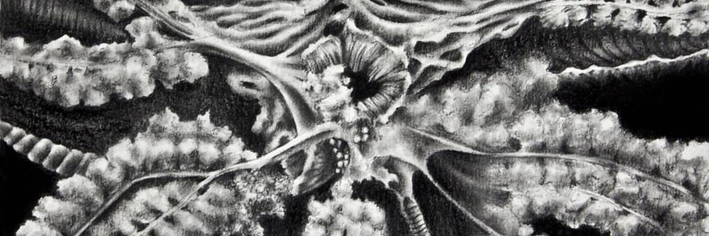 AereoBoreal's profile banner image