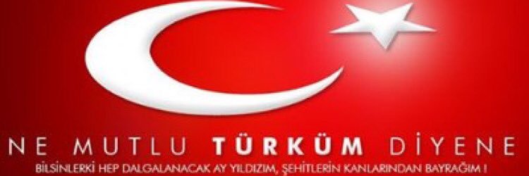 secilsayal's profile banner image