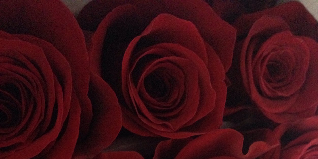 ROSALEDA_BDF's profile banner image