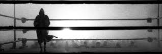 cucsariok's profile banner image
