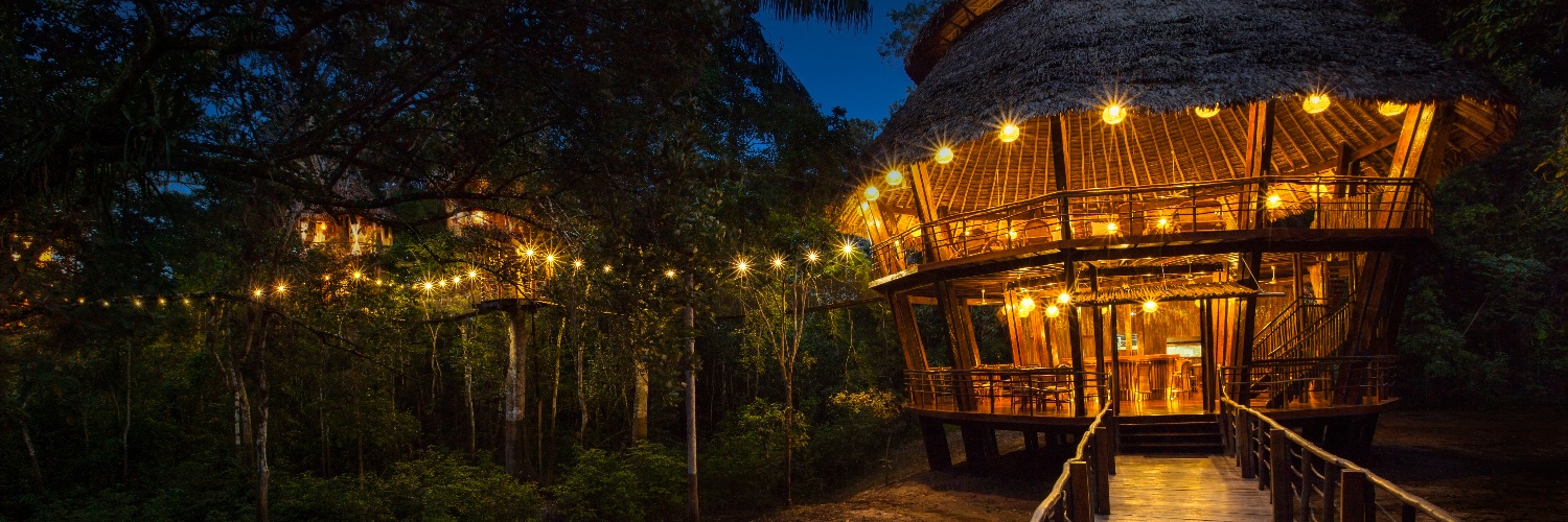treehouse_lodge's profile banner image