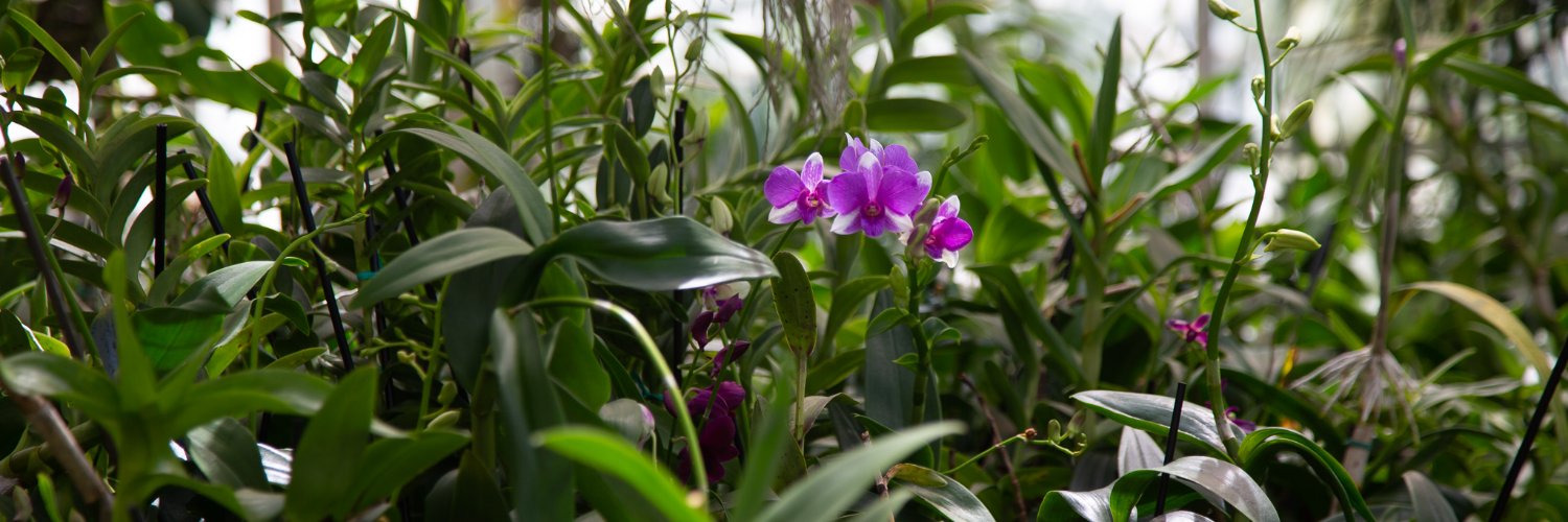 FairchildGarden's profile banner image