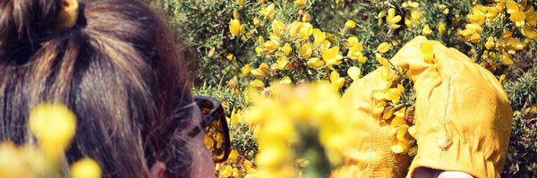 ConkerSpirit Profile Banner