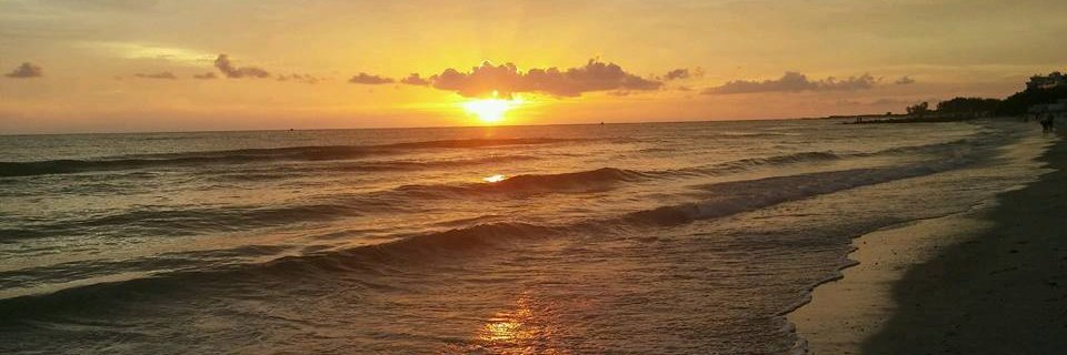 Gina_Realtor's profile banner image