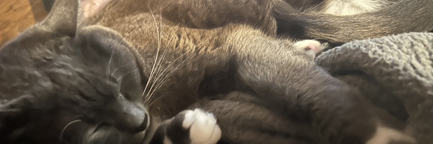 ARiftRaft's profile banner image