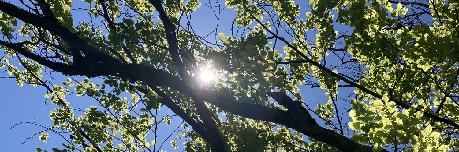 LynnLJones_'s profile banner image