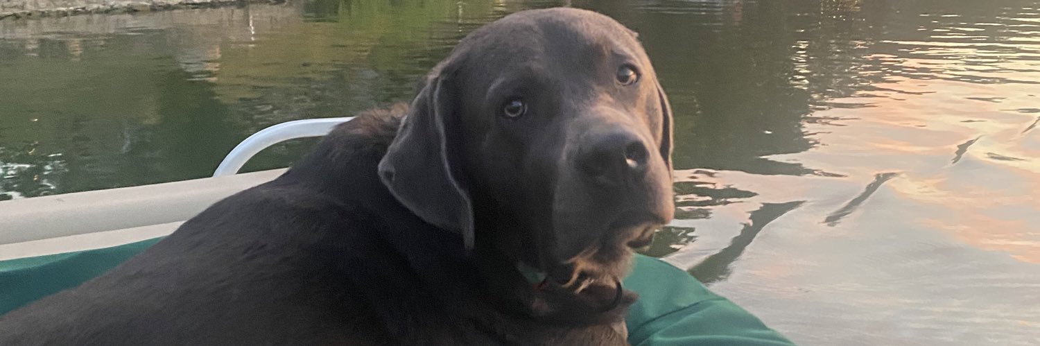 Coach Craig Lewis banner