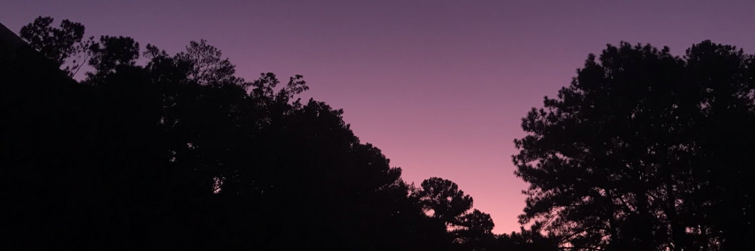 clare_proms's profile banner image