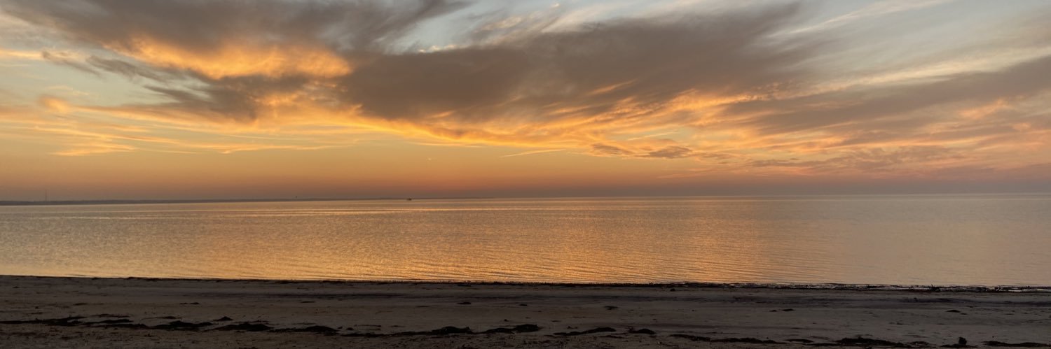 jillianann26's profile banner image