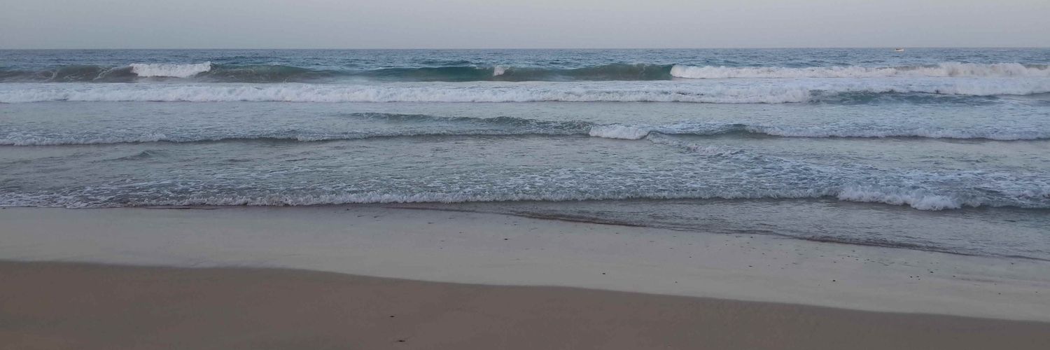 surfcastingccs's profile banner image