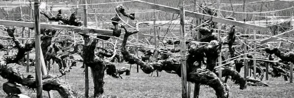 BesadaIg Profile Banner