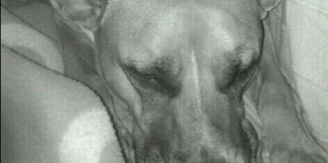 RUSTYK_1981's profile banner image