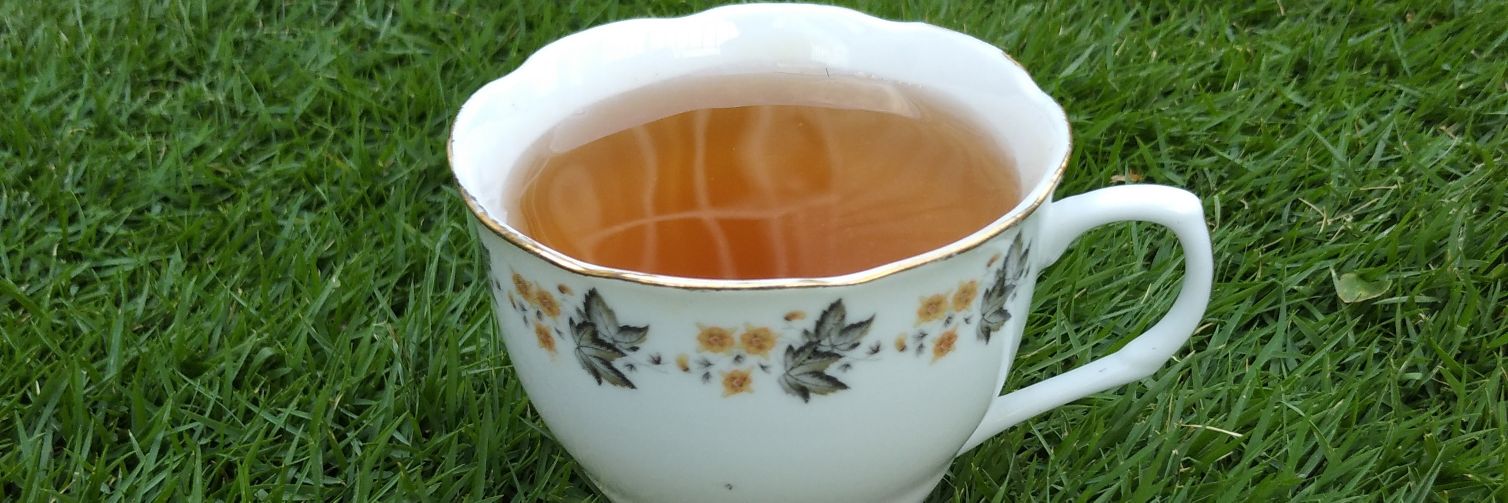 Manuel Alejandro Tiberio banner