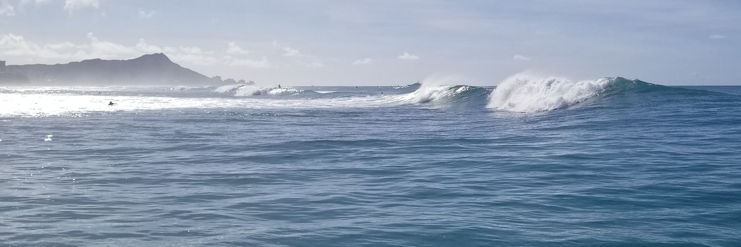 Dr. Nia Imani Fields banner