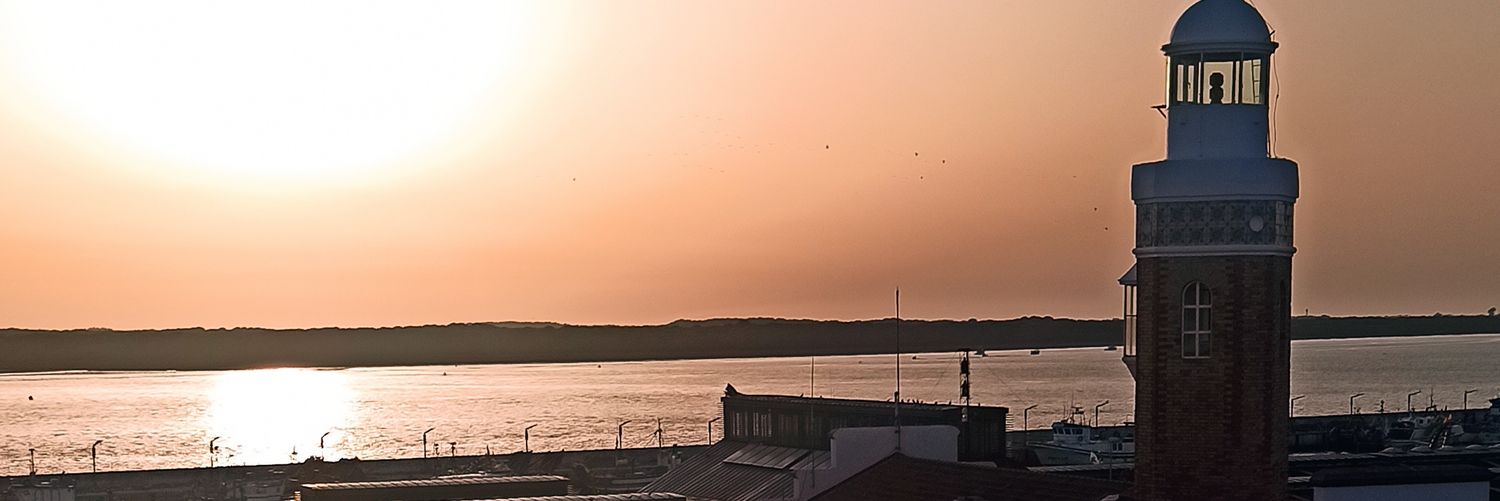 besitus anthracis ۞ 🧞 banner