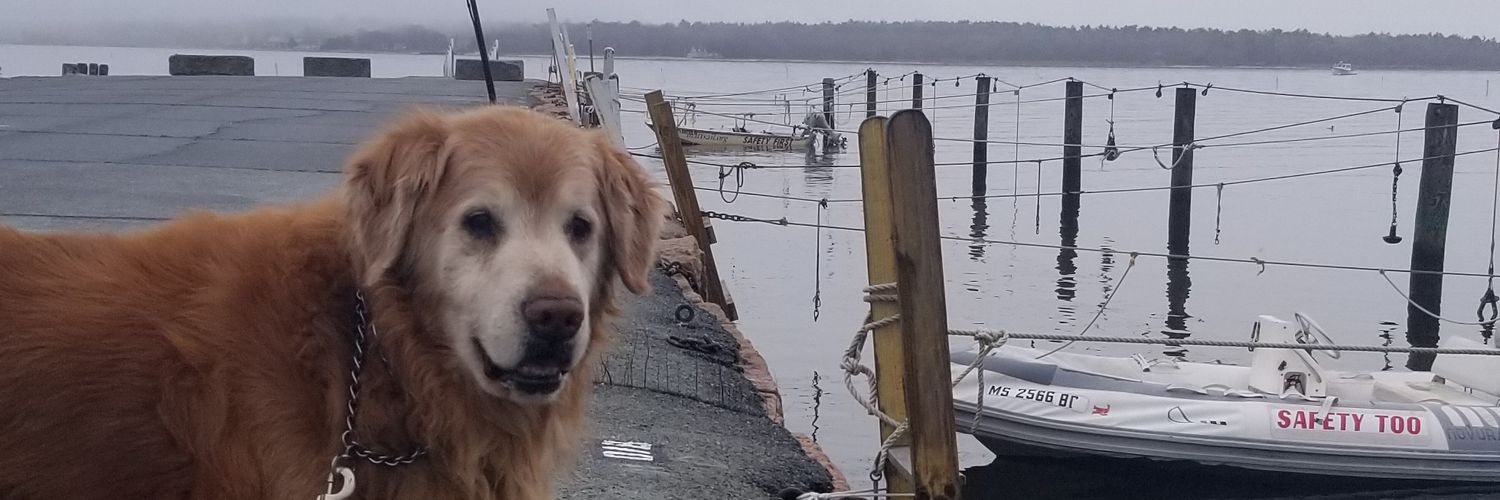 catherinejball5's profile banner image