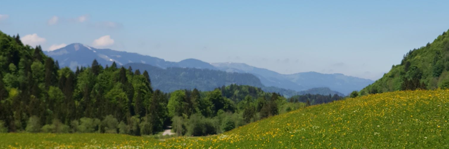 ConnerOrth's profile banner image