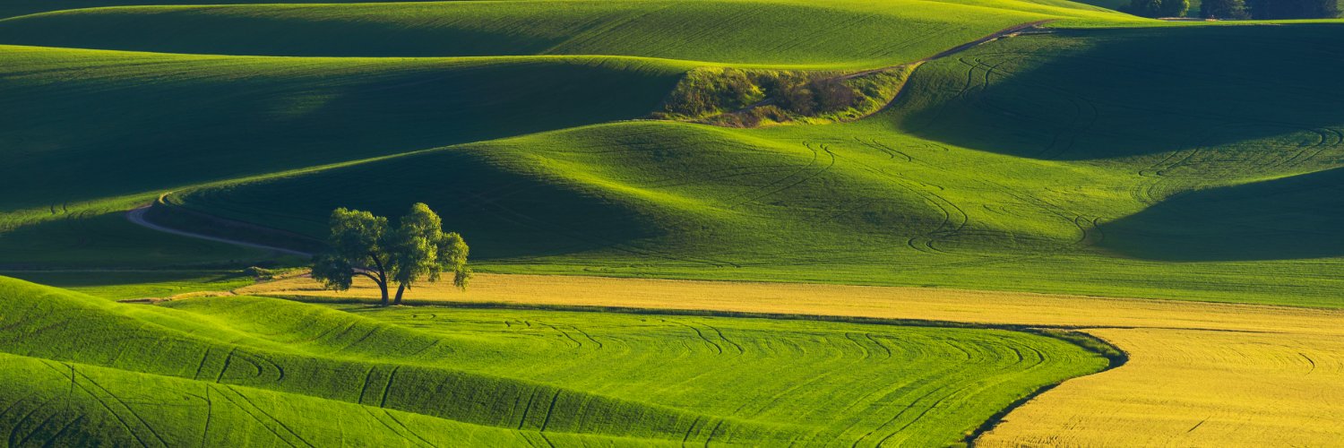 njatlarch's profile banner image