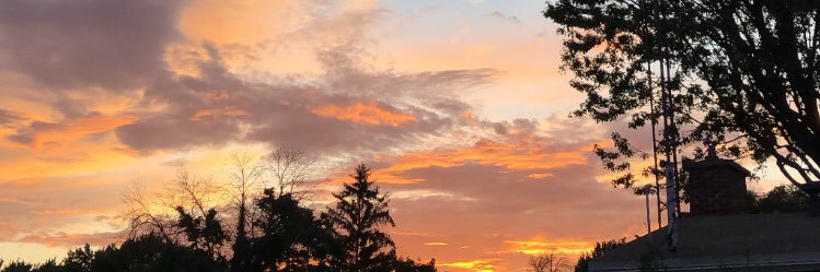 biancasklinar's profile banner image