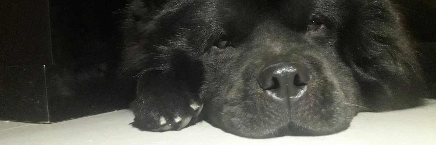 CandeObregon1's profile banner image