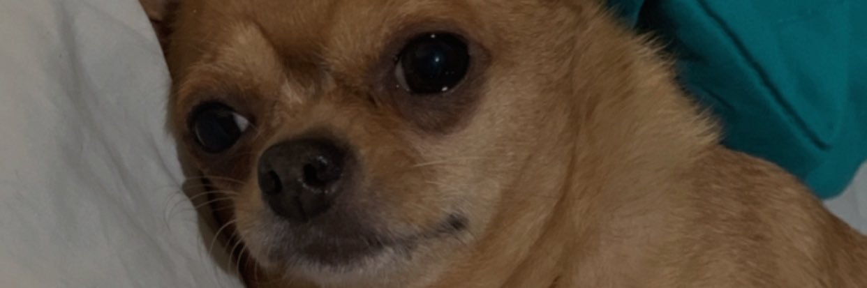 WendyLMtz's profile banner image