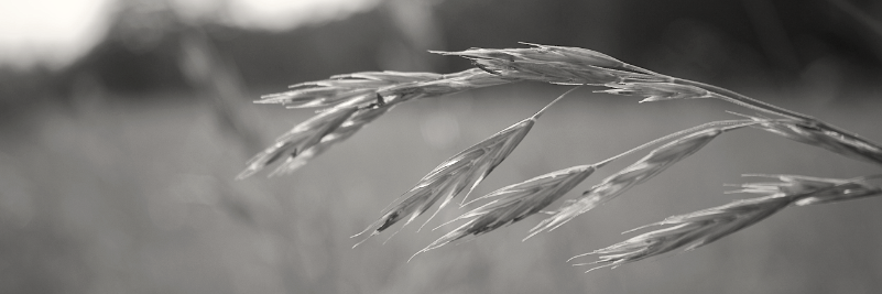 vizepunkt's profile banner image
