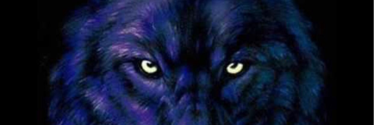 Valverde_Franco's profile banner image