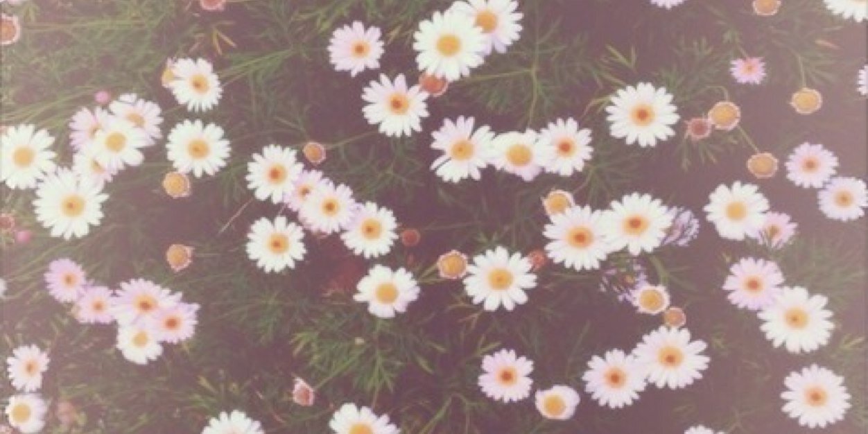 _InLoveWithHaz's profile banner image