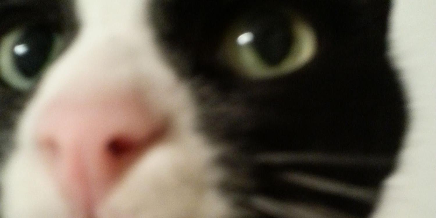 johnjmaun's profile banner image