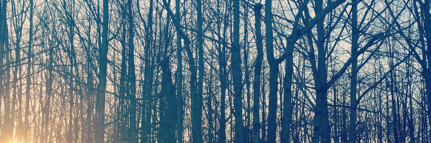 kat_bolus's profile banner image
