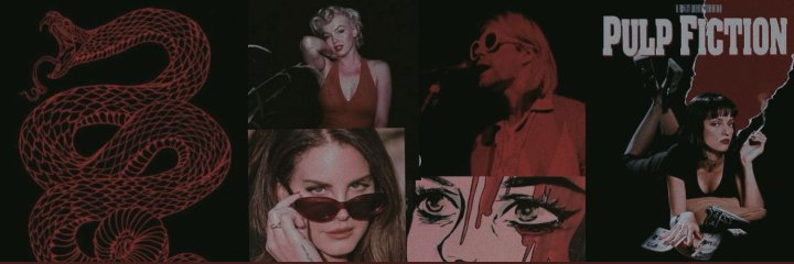 sr4v1k's profile banner image