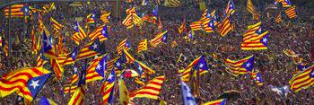 ComLluis's profile banner image