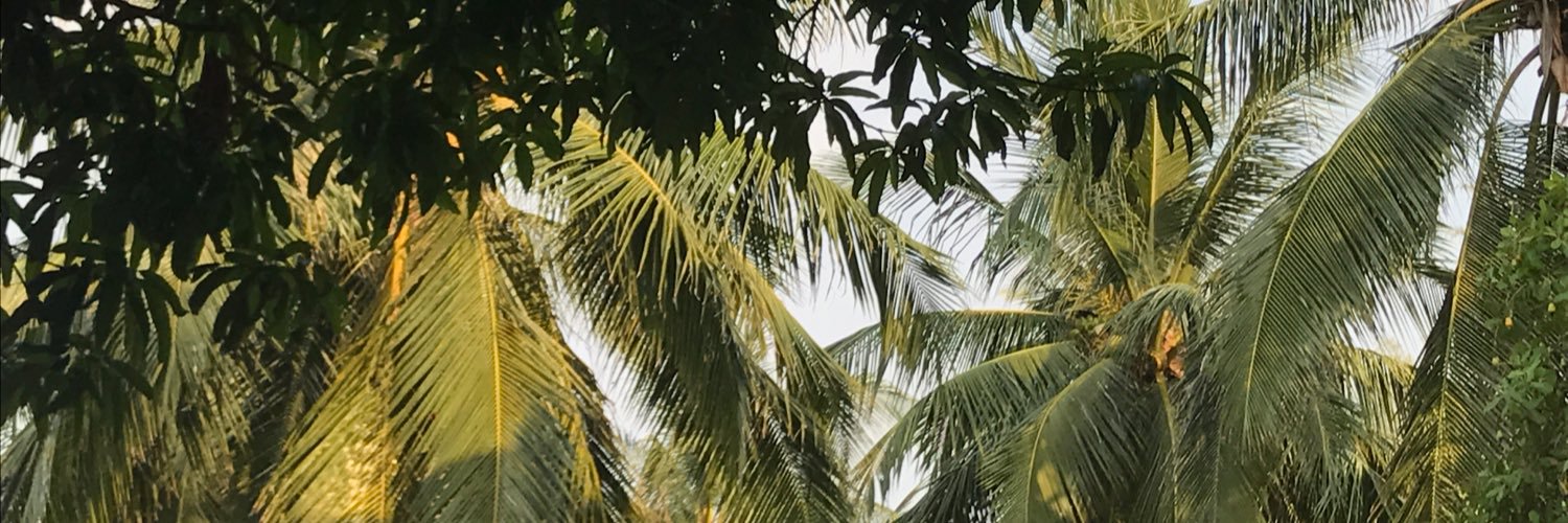 Eva Örk banner