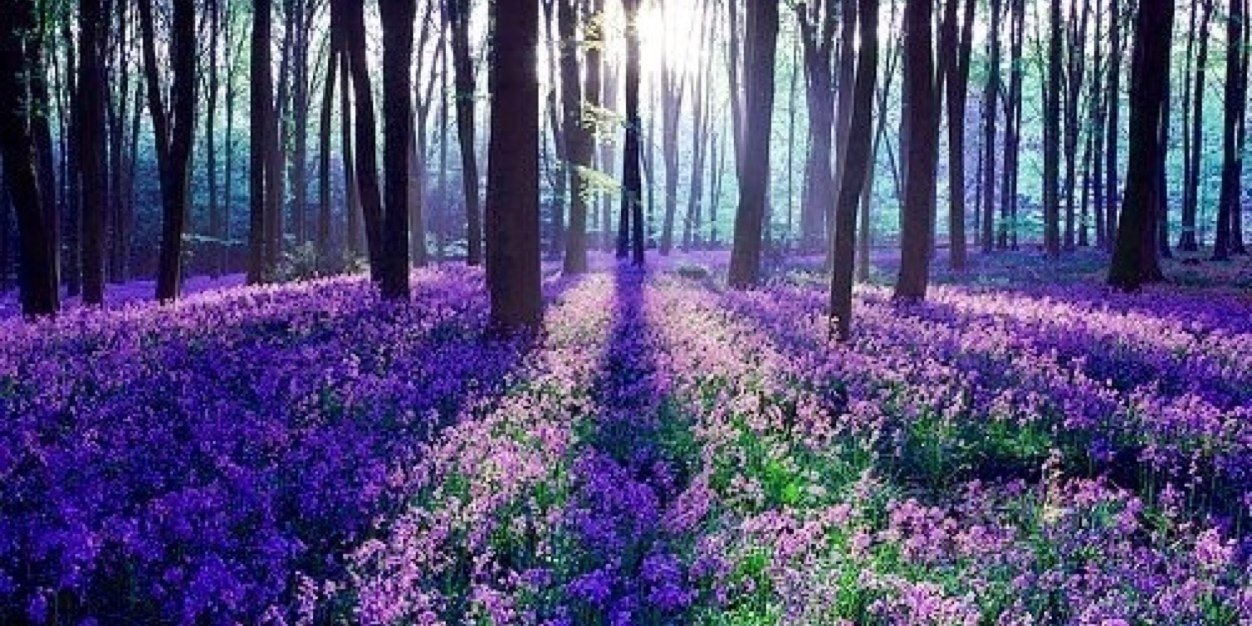 Inner Transformation banner