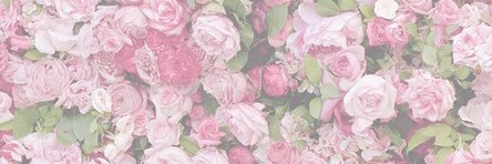 frcaniff's profile banner image