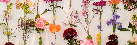 marta robli 🚐 banner