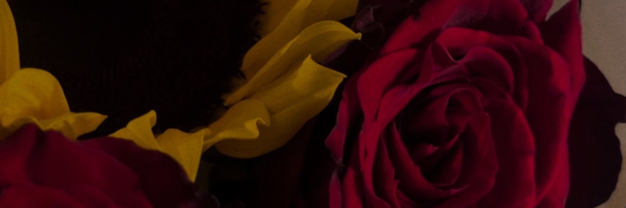 pickledblush's profile banner image