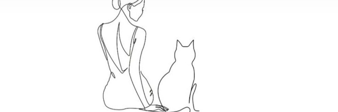 EvsPaz's profile banner image