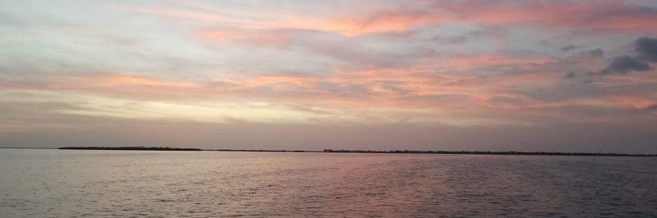 Christina Mills banner