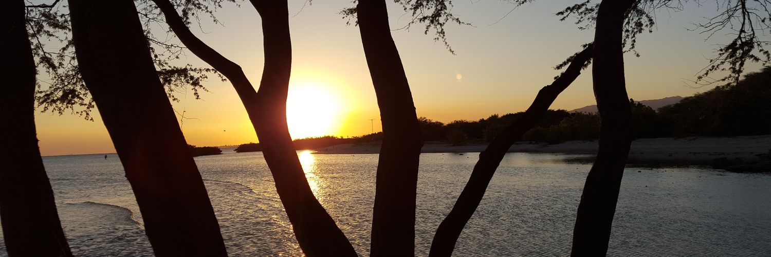 TonyC_78's profile banner image