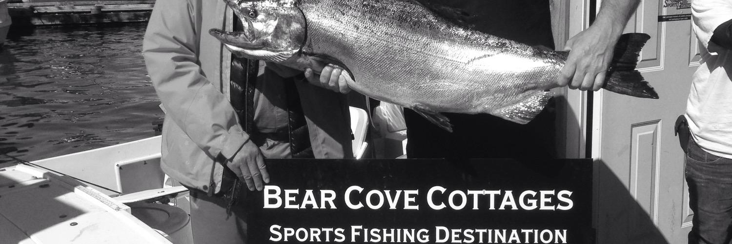 Wicked Salmon banner