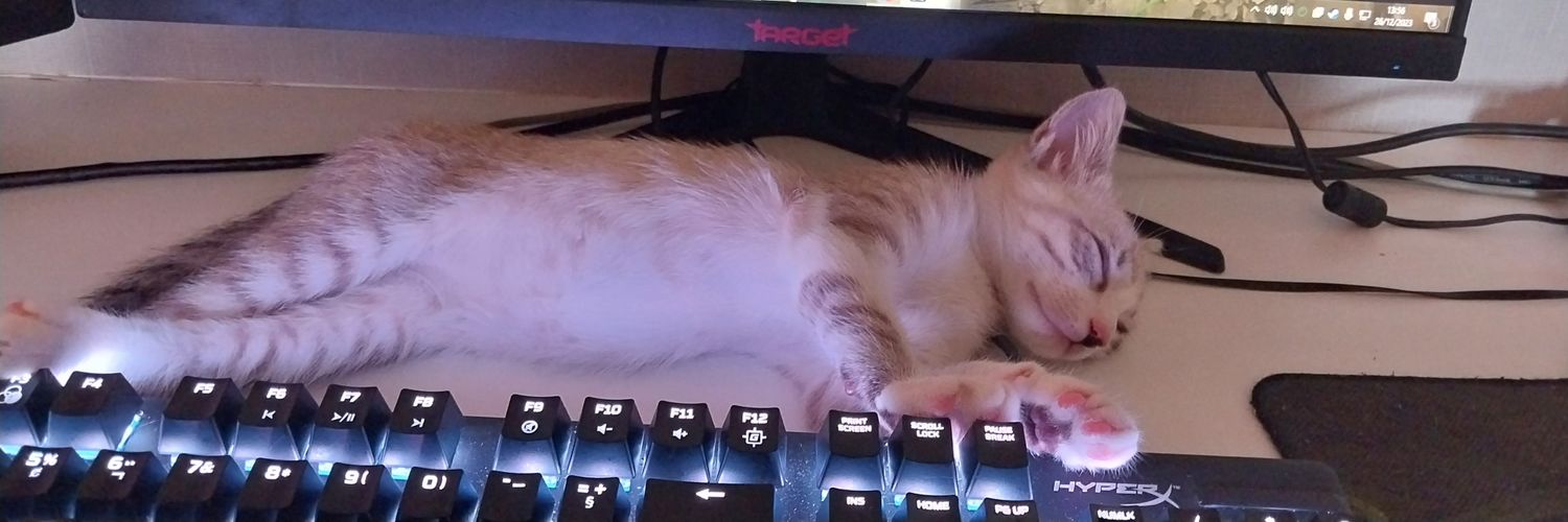 lostwoods18's profile banner image