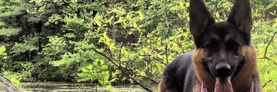 AdamKWhite1's profile banner image