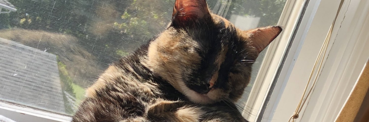 SweetMohawk's profile banner image