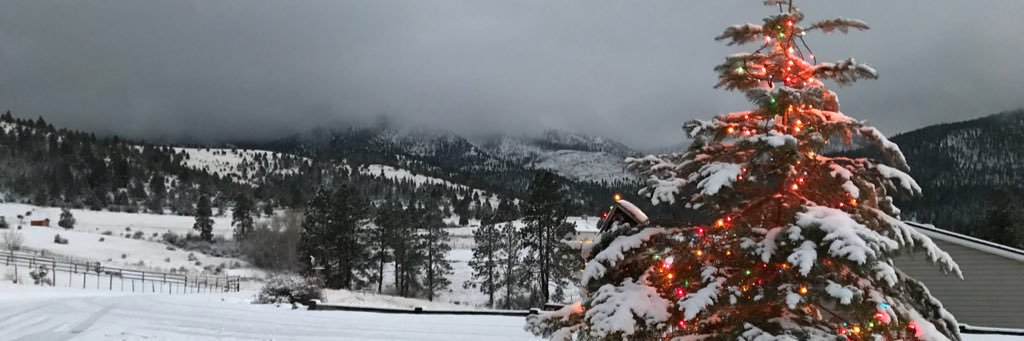 HaileyMcConnel4's profile banner image