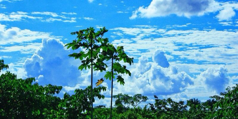 DanCamposA's profile banner image